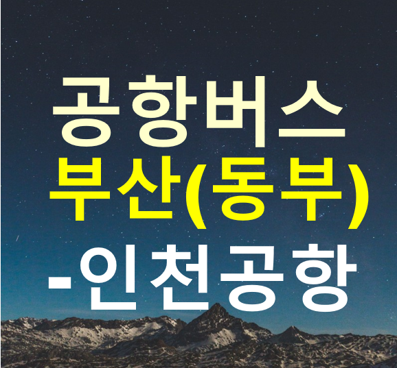 인천공항 버스 : 부산 출발
