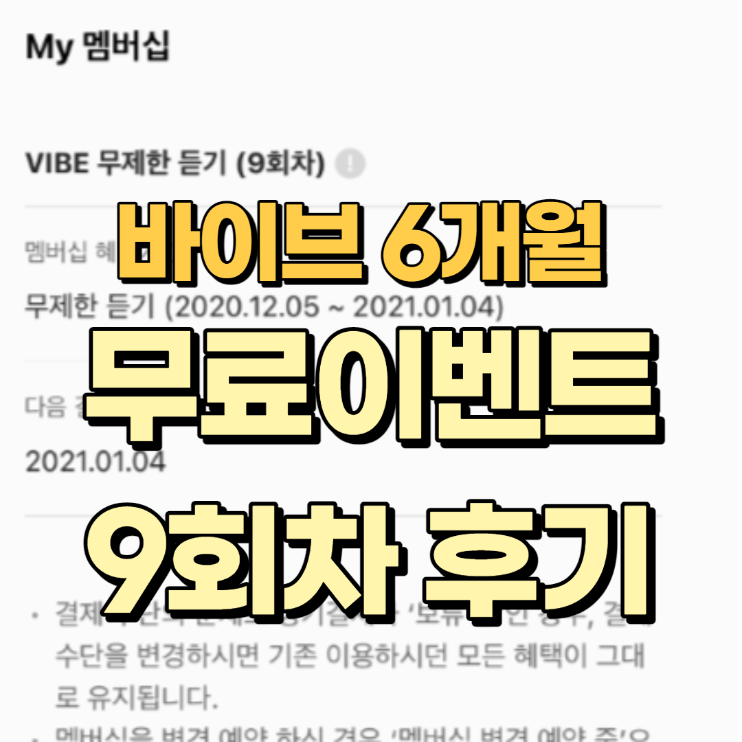 바이브6개월무료후기