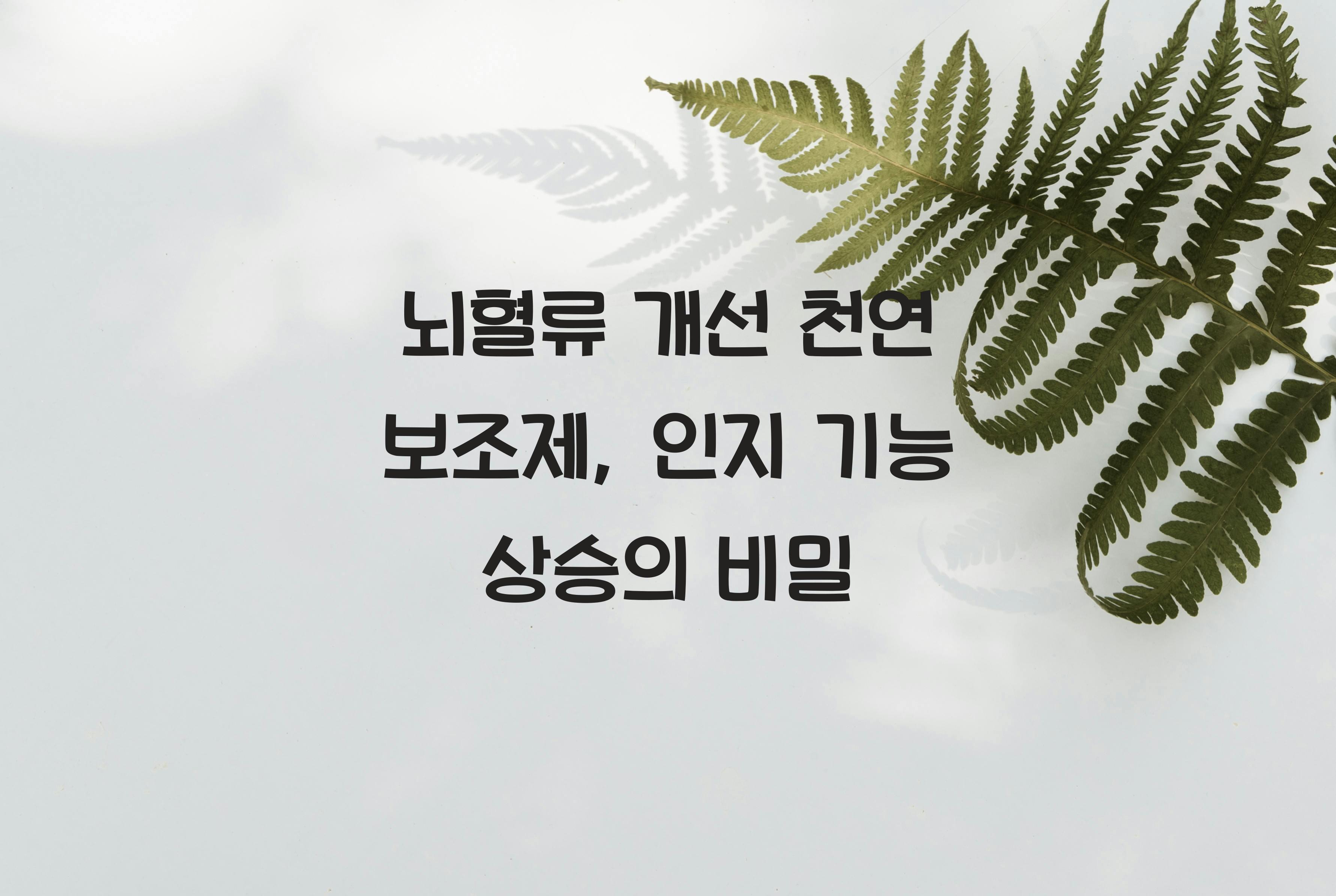 뇌혈류 개선 천연 보조제