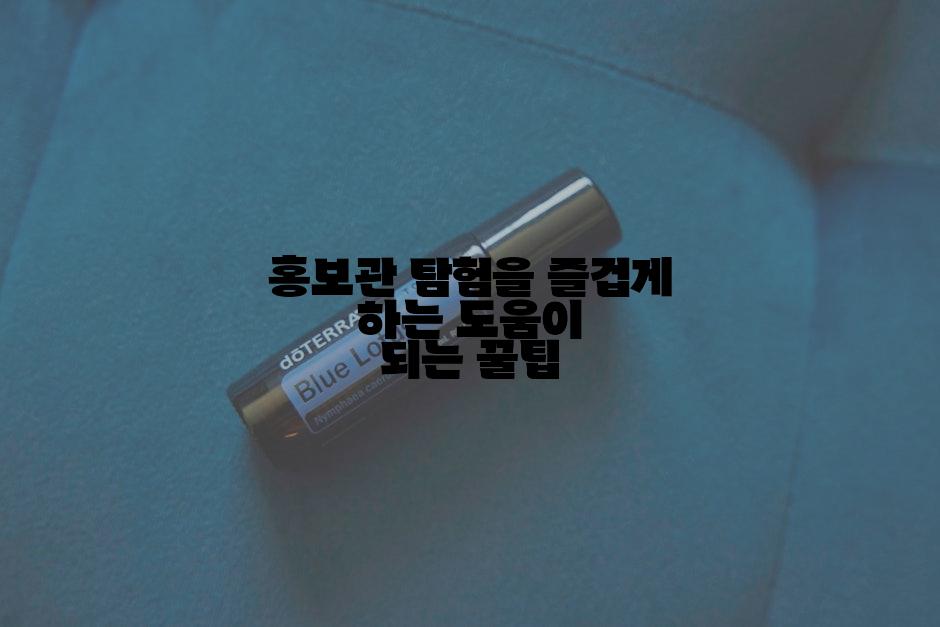 홍보관 탐험을 즐겁게 하는 도움이 되는 꿀팁