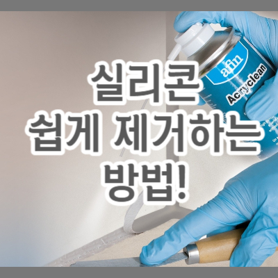 리클린 이미지