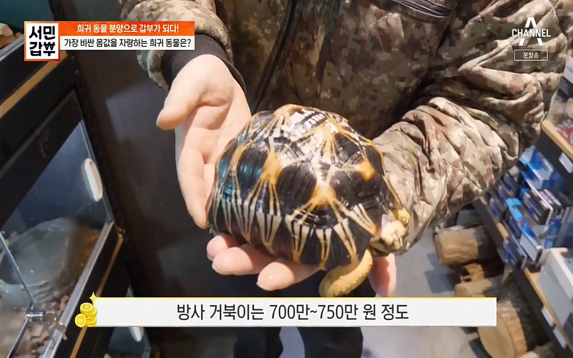 서민 갑부.E381.220431p-NEXT.mp4_20220501_180709.058.jpg