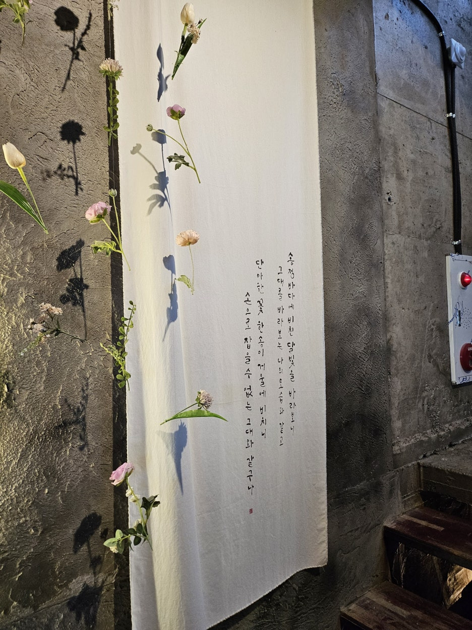 달보드레 이미지