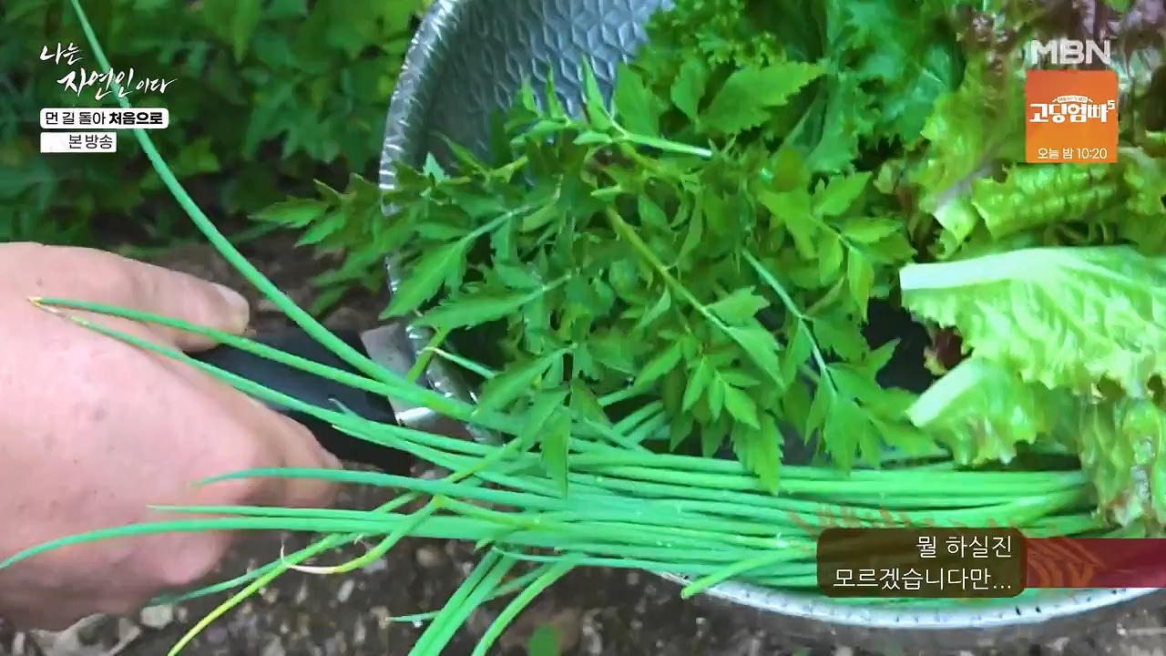 나는 자연인이다.E612.240704p-NEXT.mp4_20240704_195014.981.jpg
