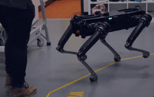 호주 군인들&#44; 뇌파로 로봇 개 조종한다 VIDEO: Soldiers use headset to control robot dogs with their minds in Black Mirror-style video