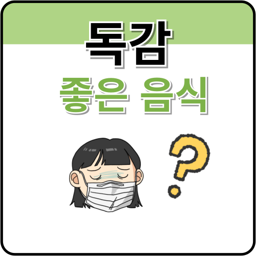 독감에-좋은-음식