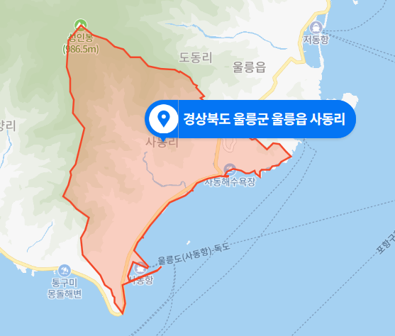  2021년 1월 - 경북 울릉군 울릉읍 사동리 펜션 욕실 40대 남성 사망사건