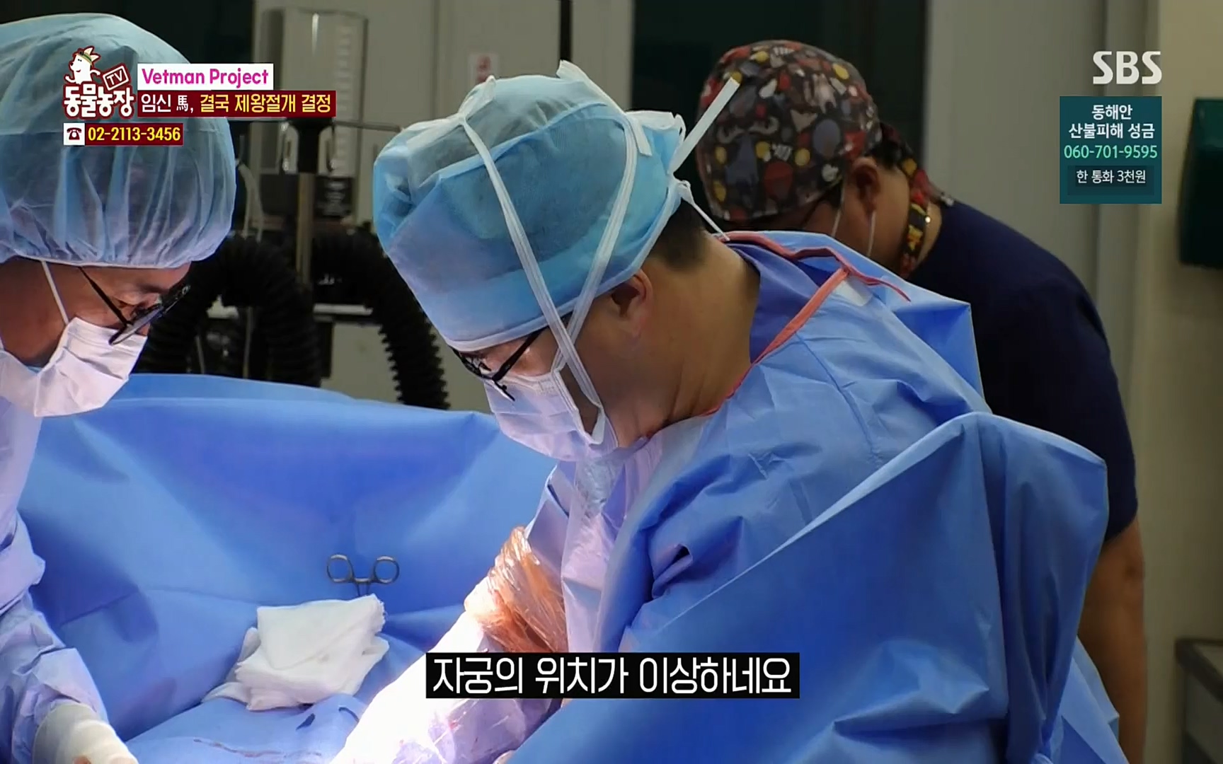 TV 동물농장.E1062.220327p.H264-F1RST.mp4_20220327_174450.750.jpg