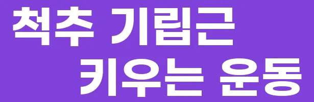 척추 기립근 키우는 운동