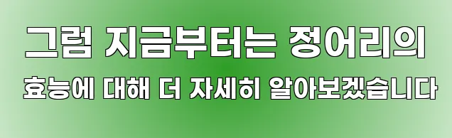  그럼 지금부터는 정어리의 효능에 대해 더 자세히 알아보겠습니다