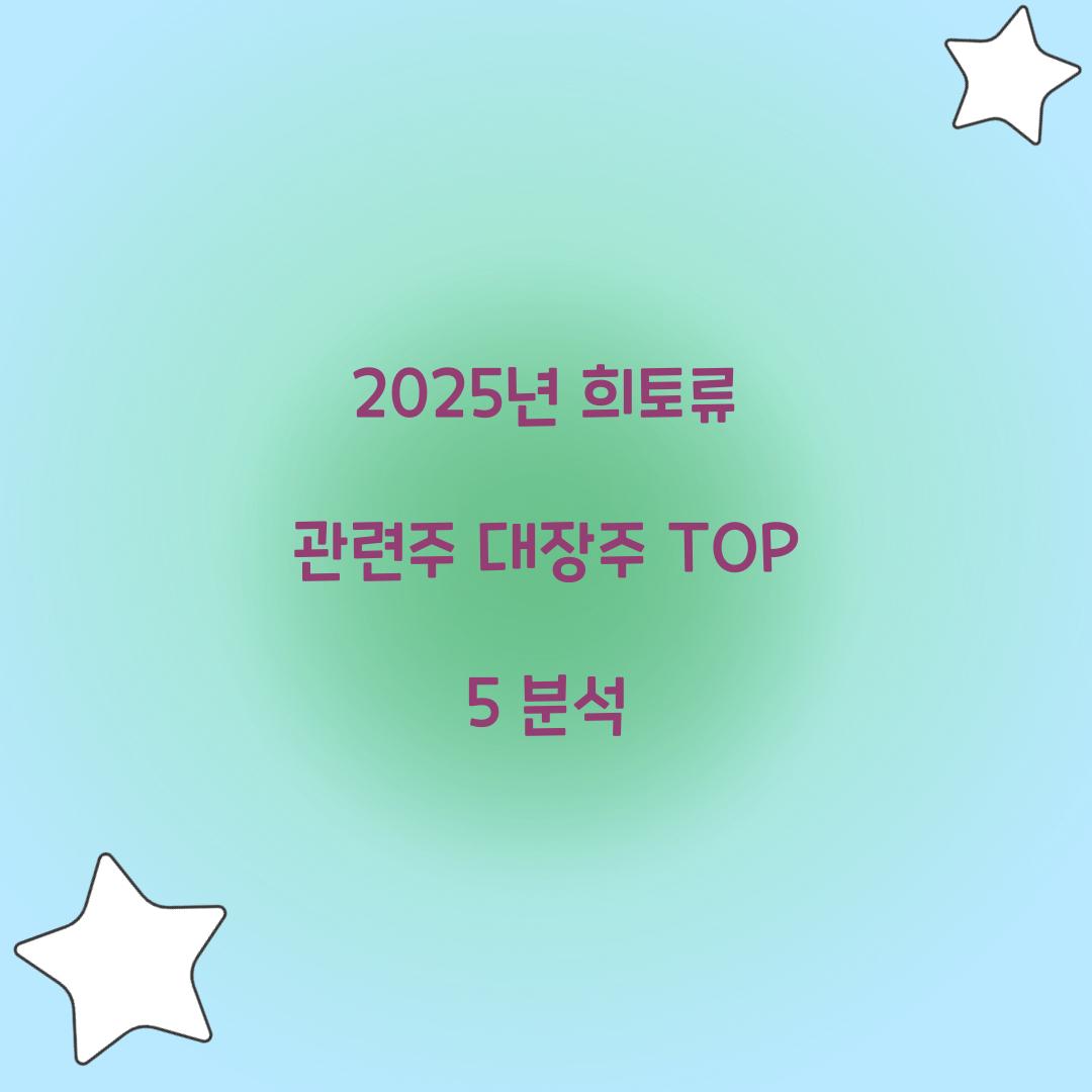 희토류 관련주 대장주