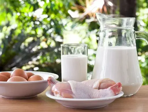 단백질이-풍부한-계란이나-우유-등의-섭취를-늘려봅시다.