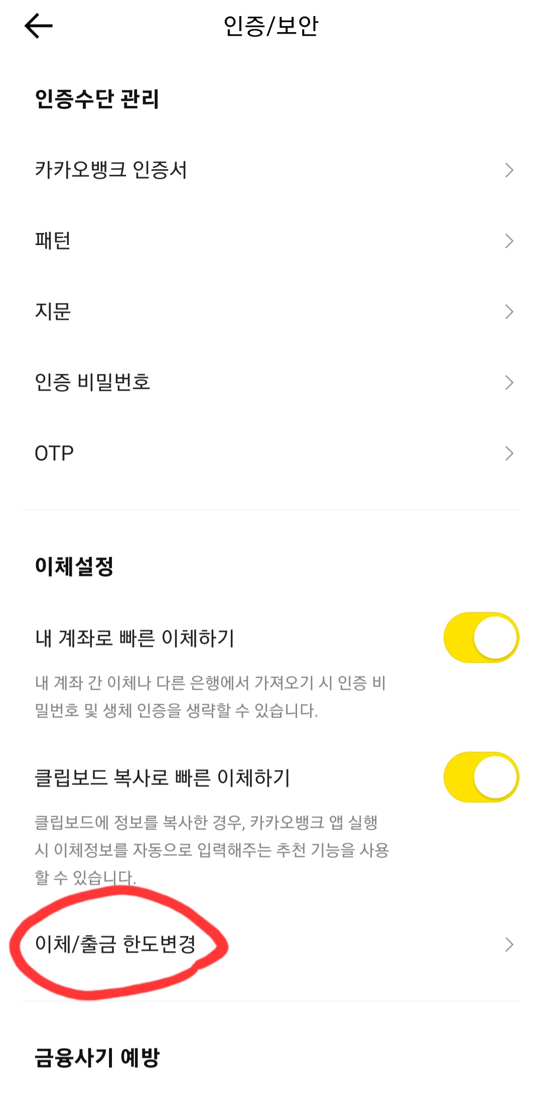 카카오뱅크 이체한도 확인