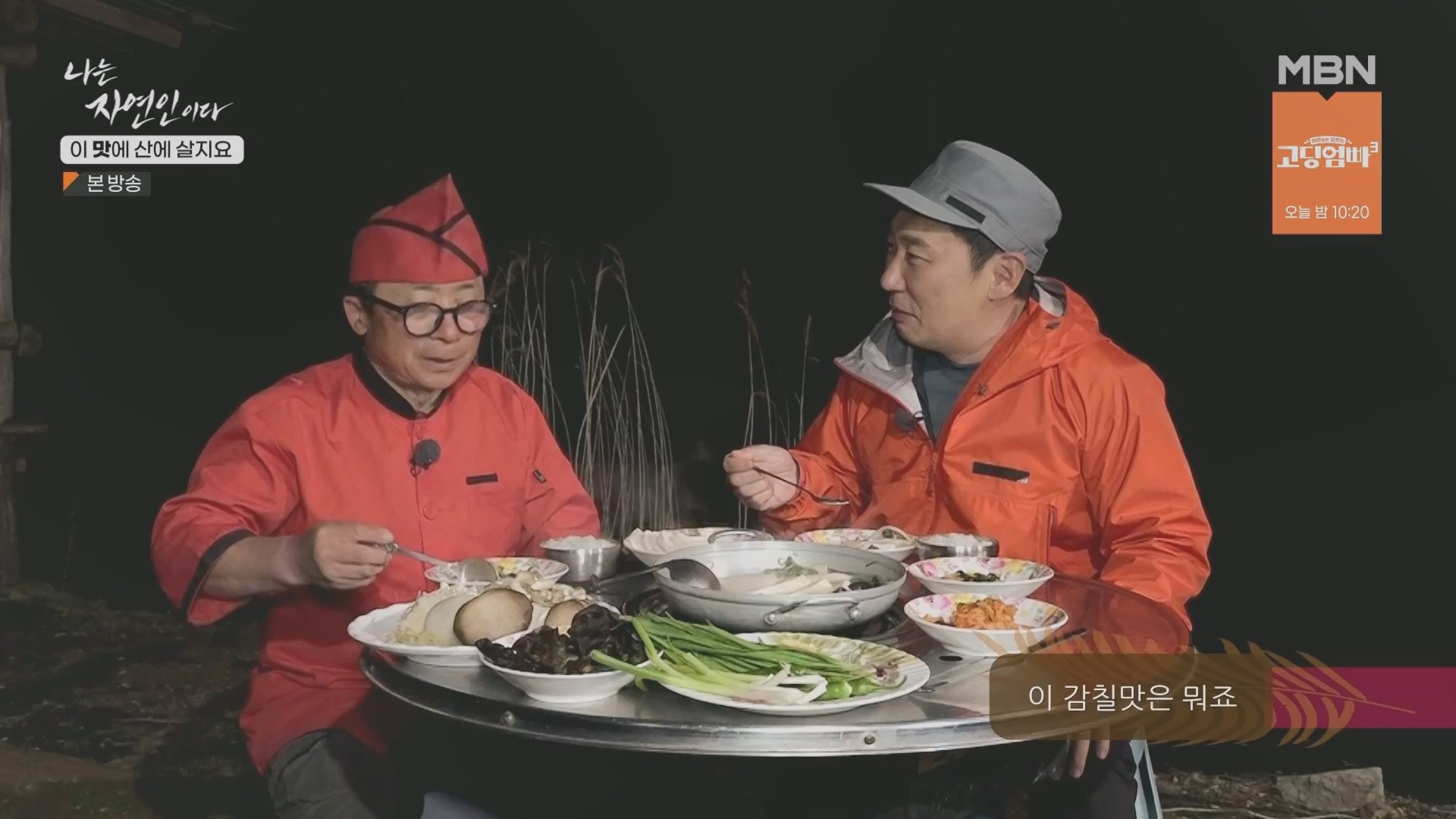 나는 자연인이다.E550.230419p.H264-F1RST.mp4_20230420_195647.408.jpg