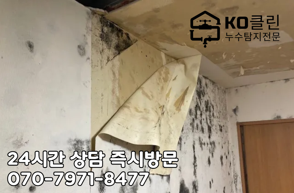 잠실역 누수 탐지2
