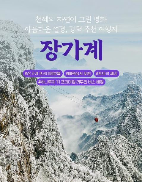 명화여행사 이미지