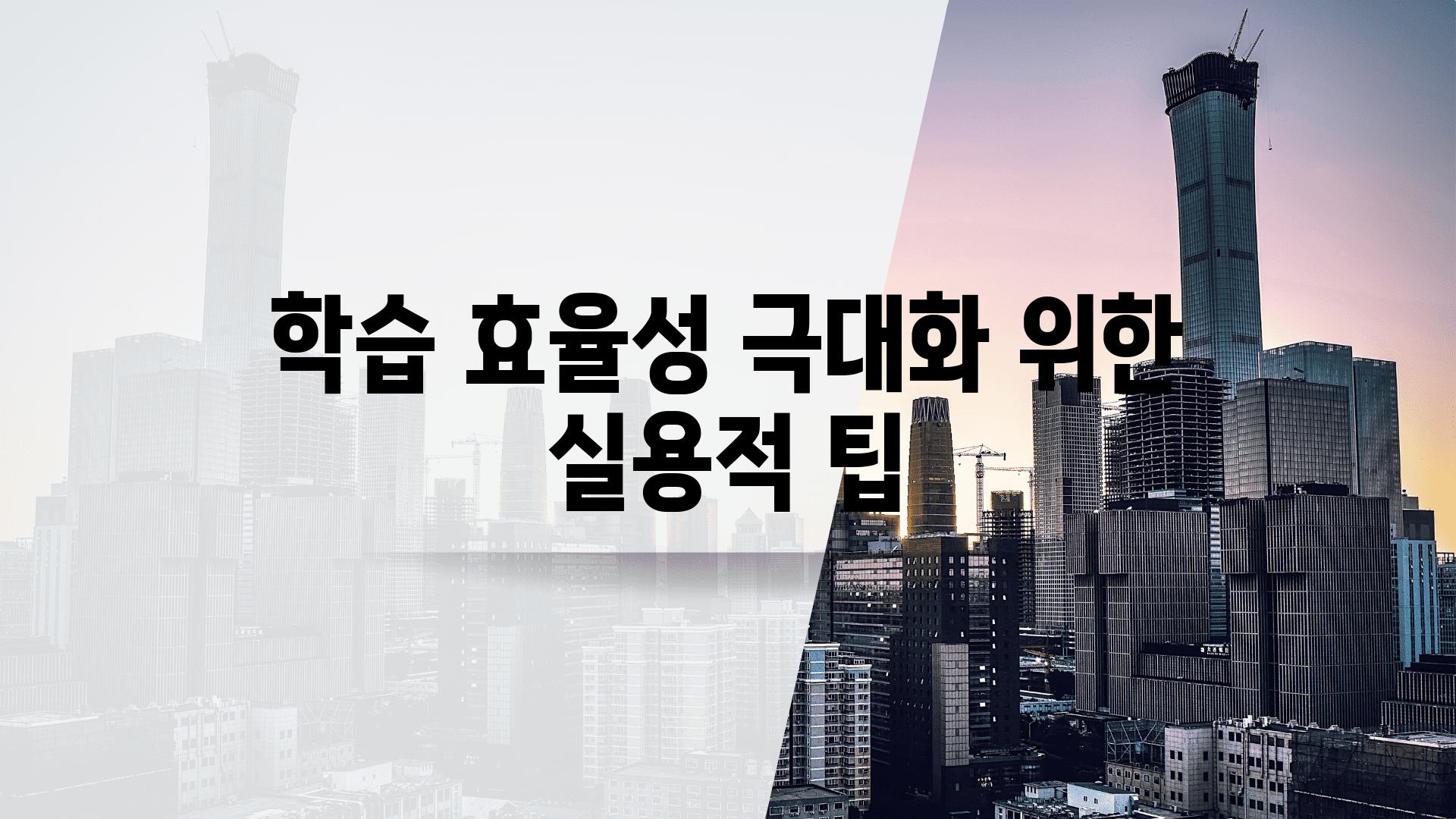 학습 효율성 극대화 위한 실용적 팁