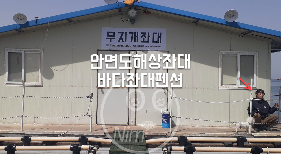 매입항 안면도항항항펜션 밤볼락낚시 4