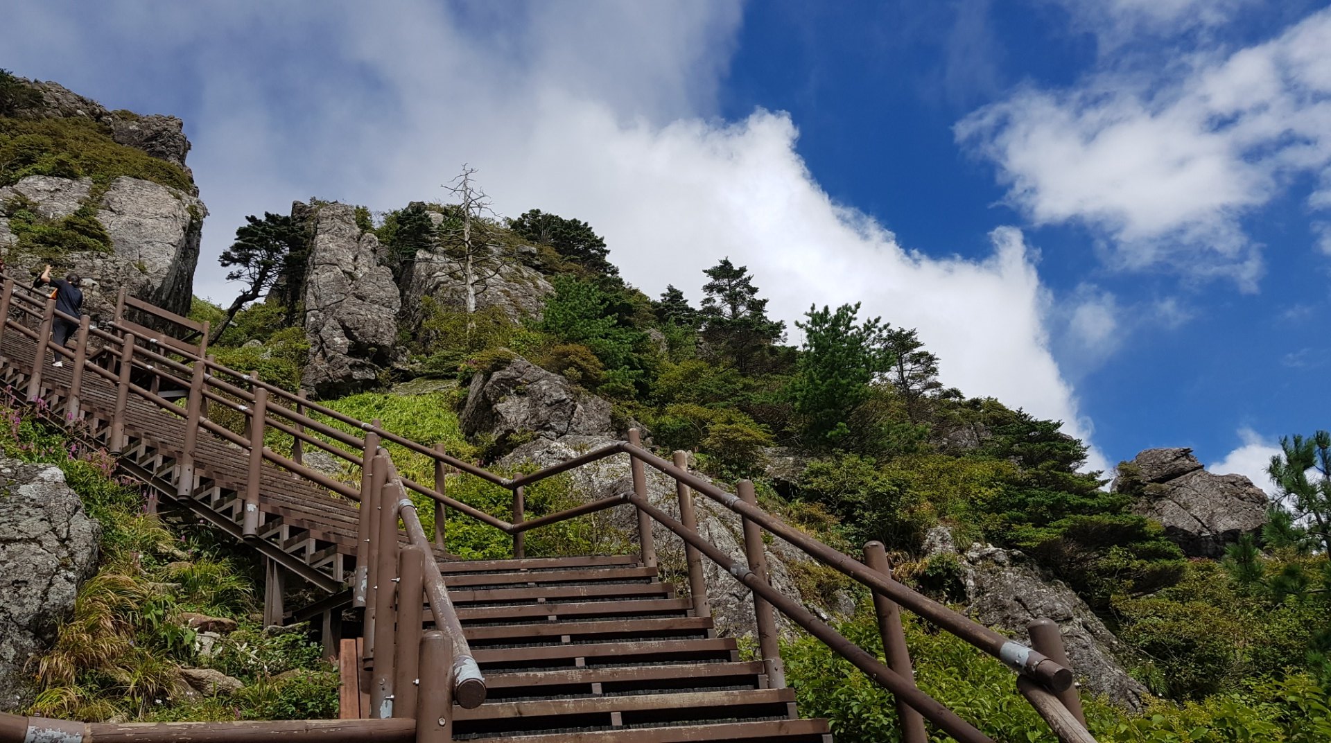 지리산 잘 정비된 길