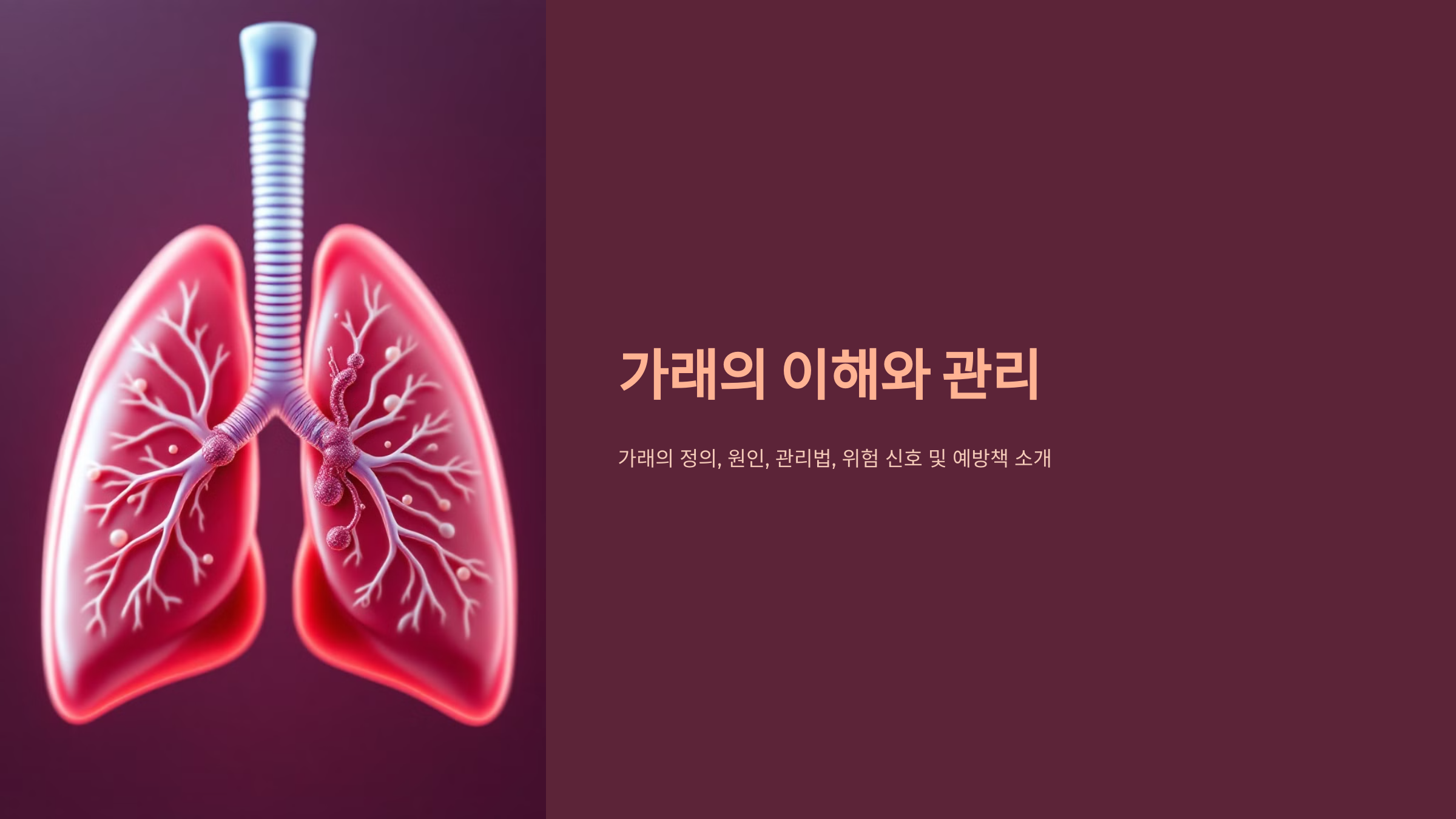 가래 빼는 법 &amp; 원인 [의사가 알려주는 완벽 가이드]