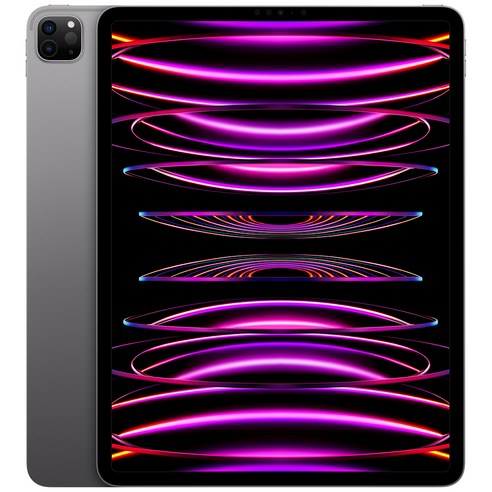  Apple 정품 2022 아이패드 프로 12.9 6세대 M2칩스페이스그레이 · 256GB · Wi-Fi 사용 후기
