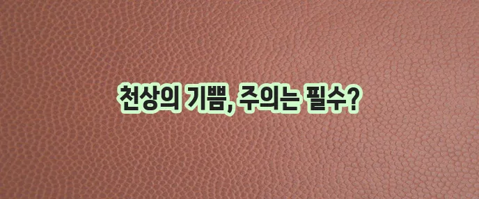 캣닢 효능과 주의사항 고양이에게 정말 즐거움을 줄까요?