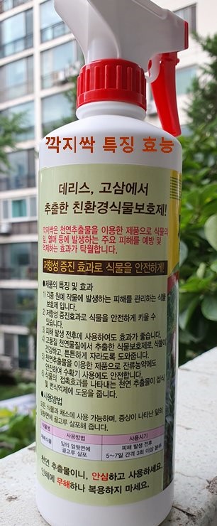 깍지싹 특징 및 효능