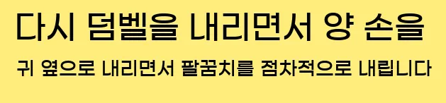  다시 덤벨을 내리면서 양 손을 귀 옆으로 내리면서 팔꿈치를 점차적으로 내립니다.