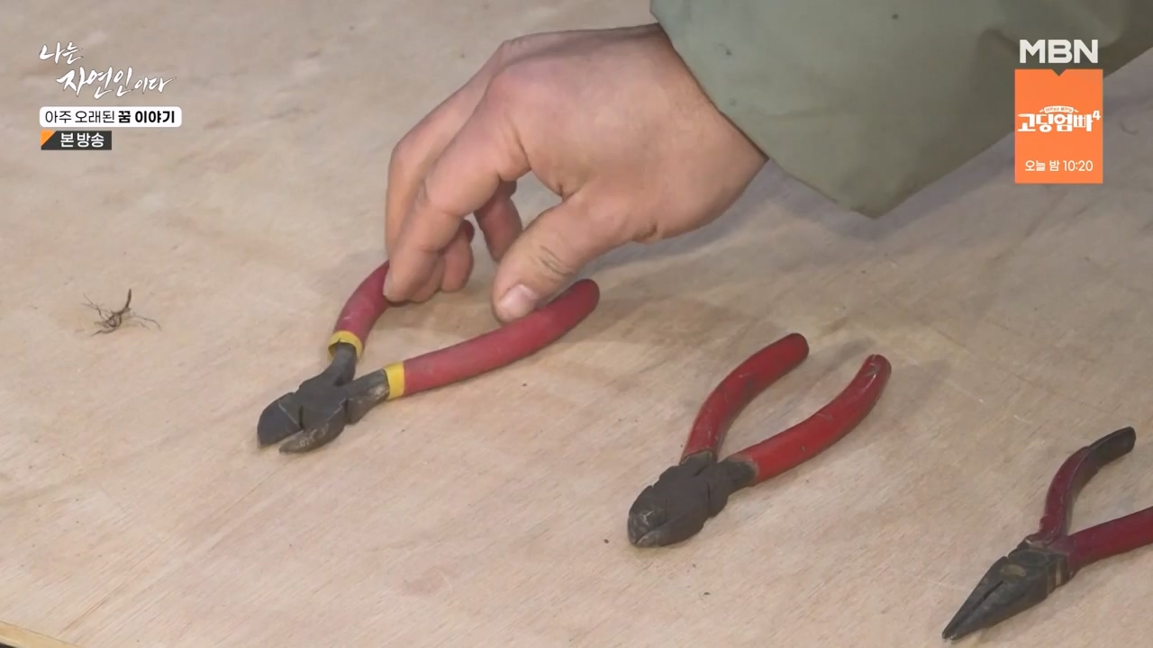 나는 자연인이다.E594.240222p-NEXT.mp4_20240222_195335.929.jpg