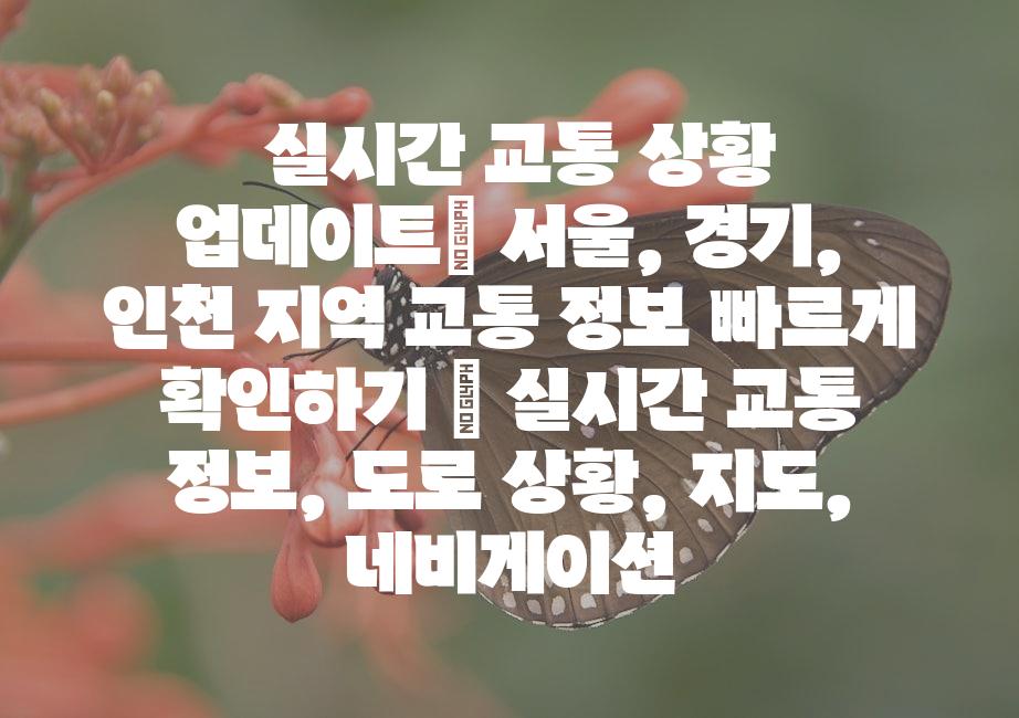 샘플 (51)