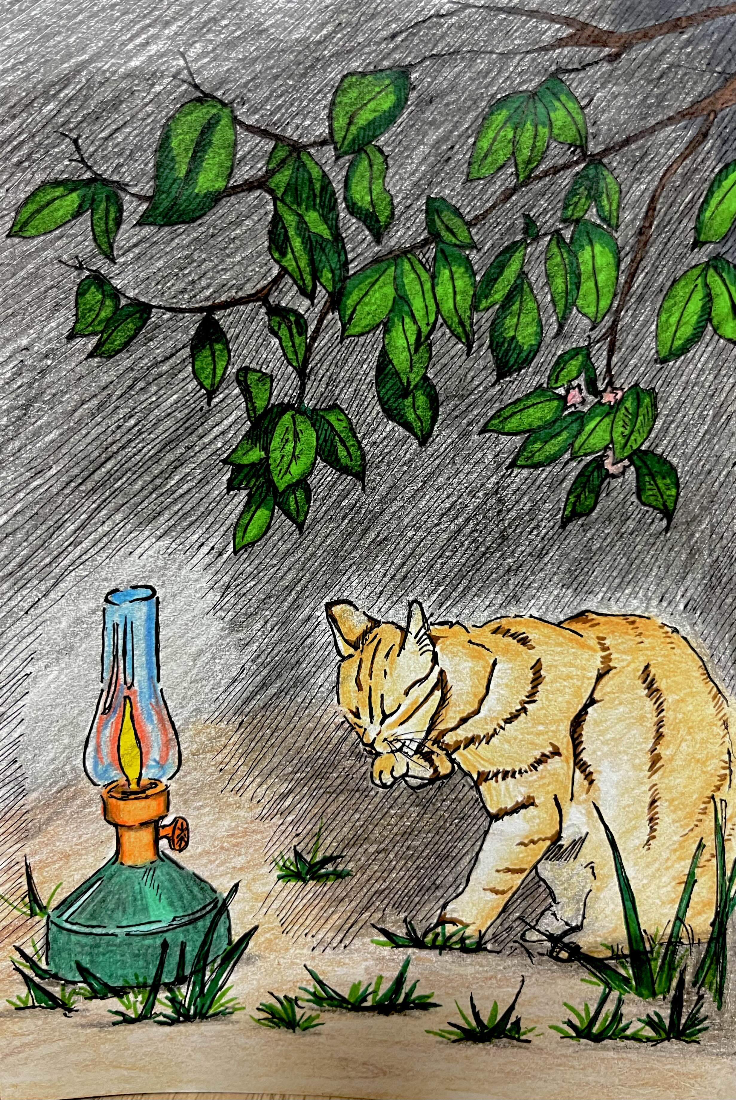  [취미생활 : 그림] 캠핑느낌 (고양이 그림 : 펜그림)