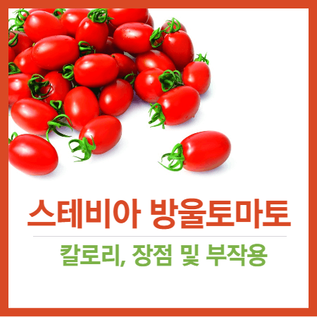 스테비아 방울토마토 칼로리&#44;장점 및 부작용