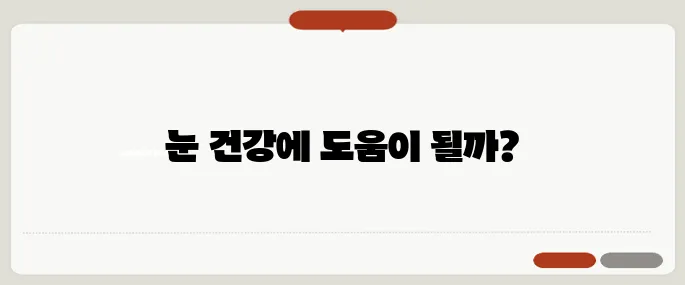 빌베리 효능 눈 건강 도움