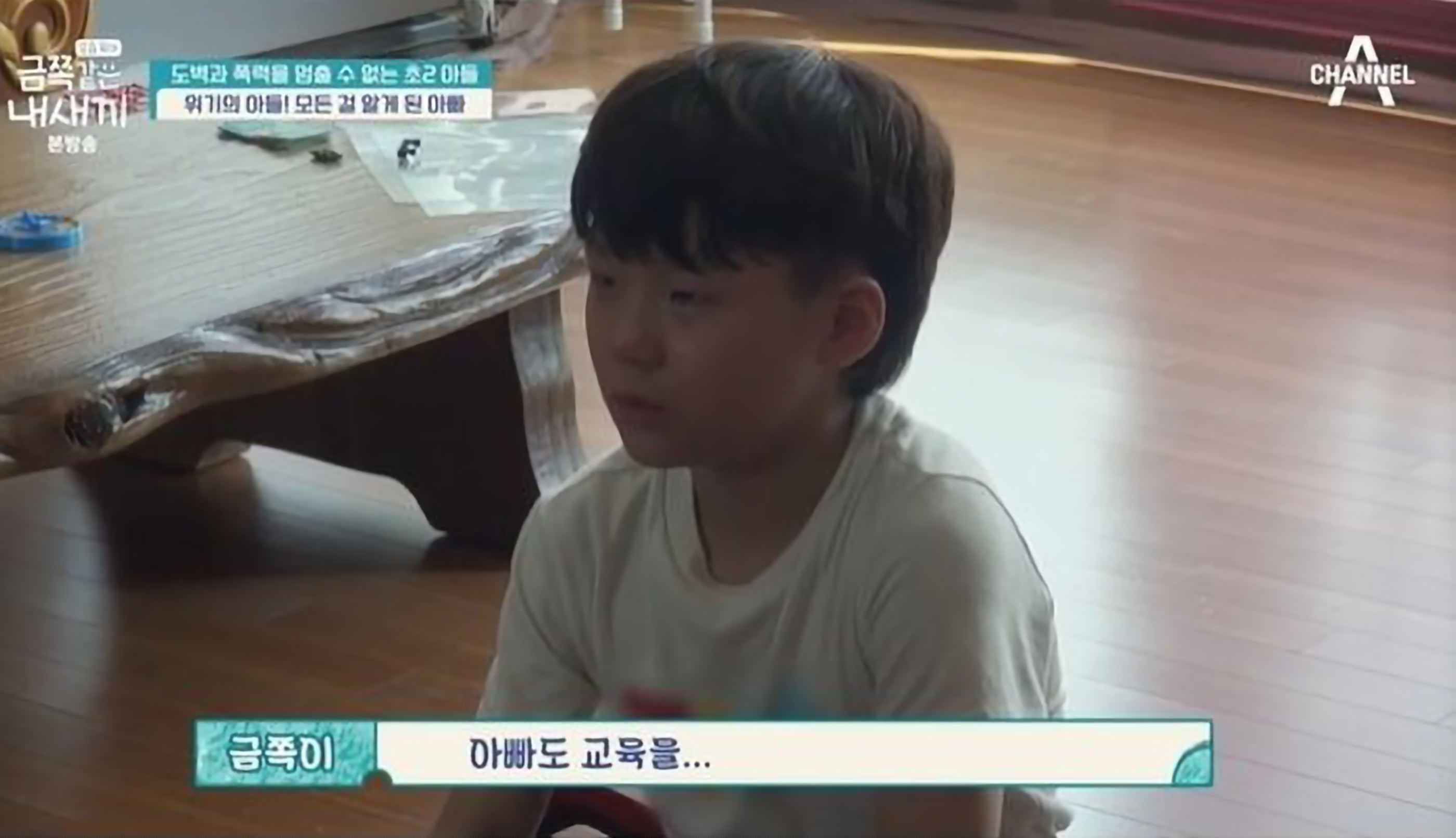 도벽 금쪽