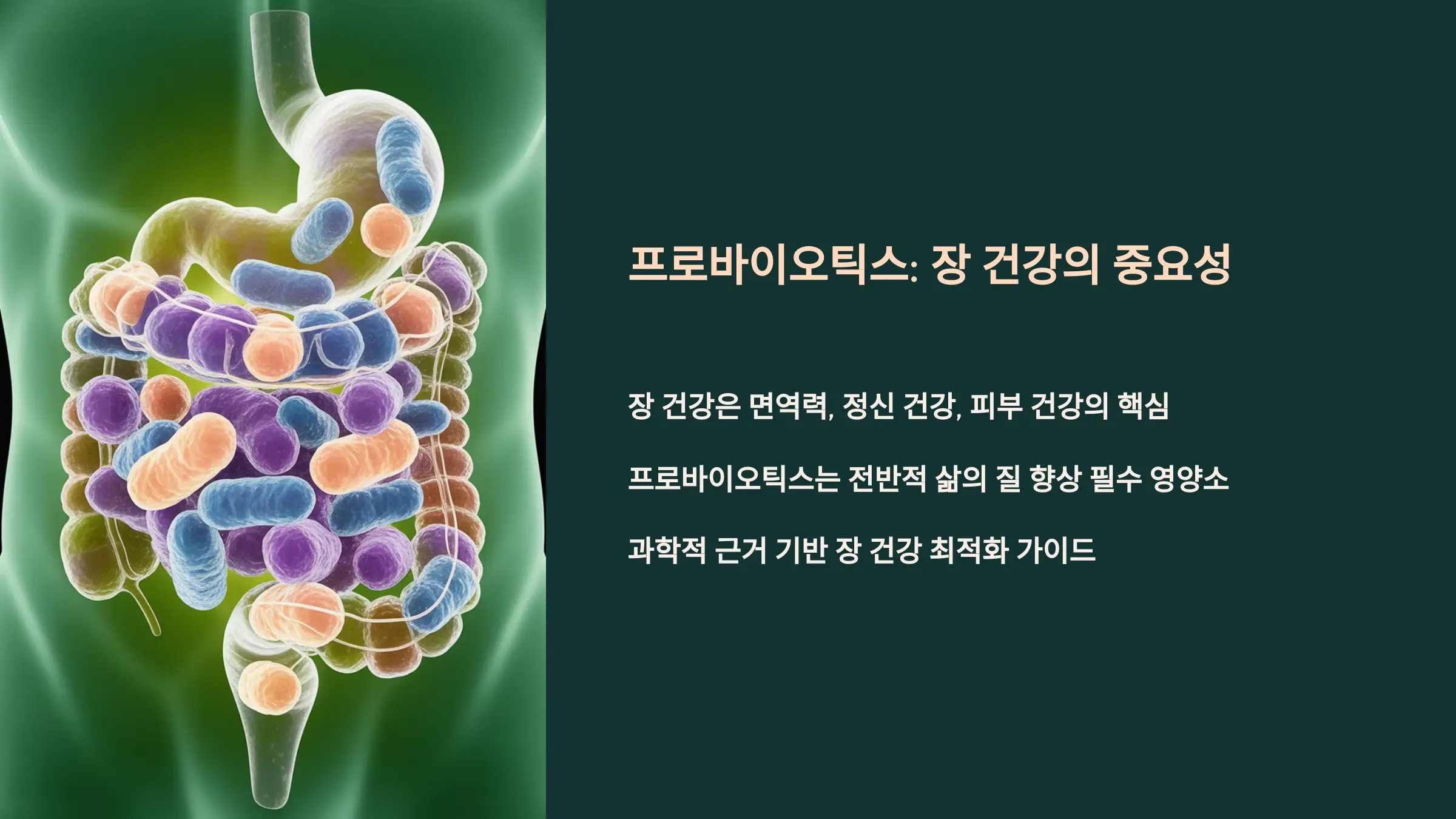 건강의 중요성과 프로바이오틱스의 부상