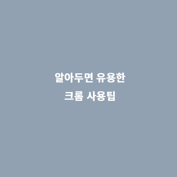  [크롬 사용팁] 알아두면 유용한 크롬 사용팁