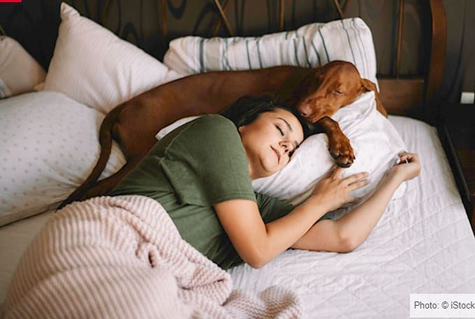 강아지와 같이 자면 좋은 건강 상의 이점 VIDEO: 6 health benefits of sharing a bed with your pet that might surprise you