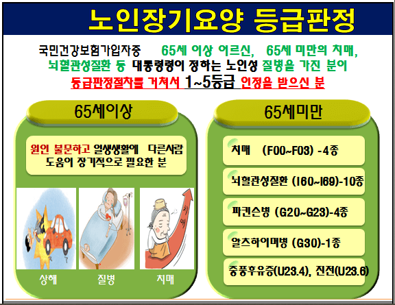 등급판정