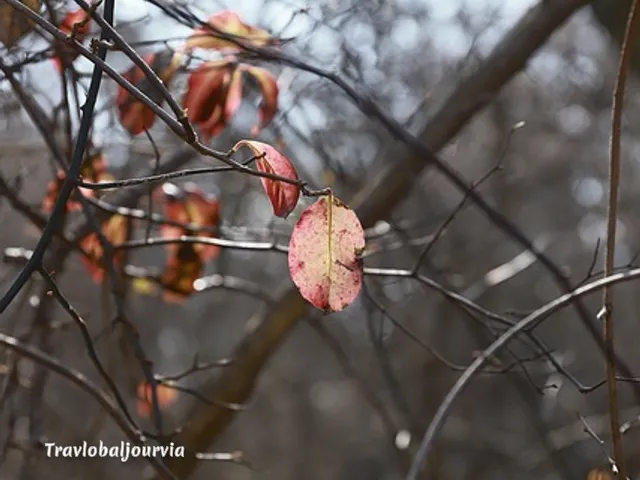 봄맞이 해외여행_1