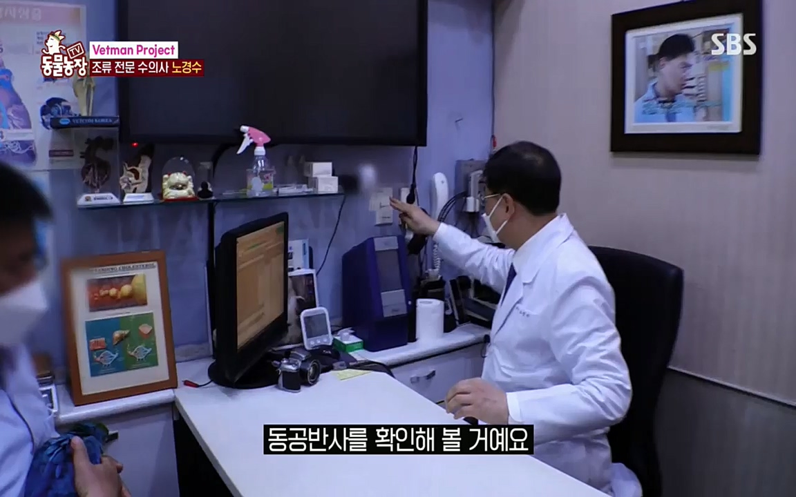 TV 동물농장.E1076.220704p.H264-F1RST.mp4_20220703_175600.073.jpg