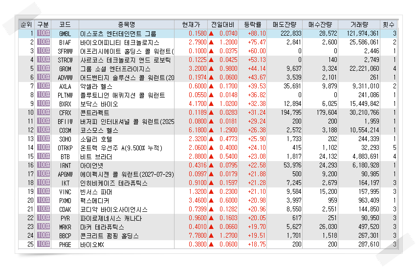  1월24일 미국주식 상승률 상위 종목 TOP 300