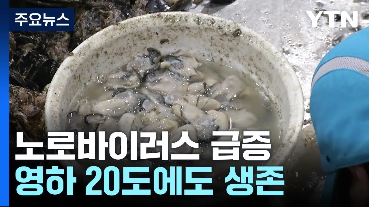 노로바이러스 증상 빠르게 대처하는 방법_3