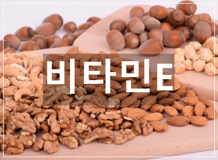  체내 염증 억제에 필수적인 영양소 비타민E
