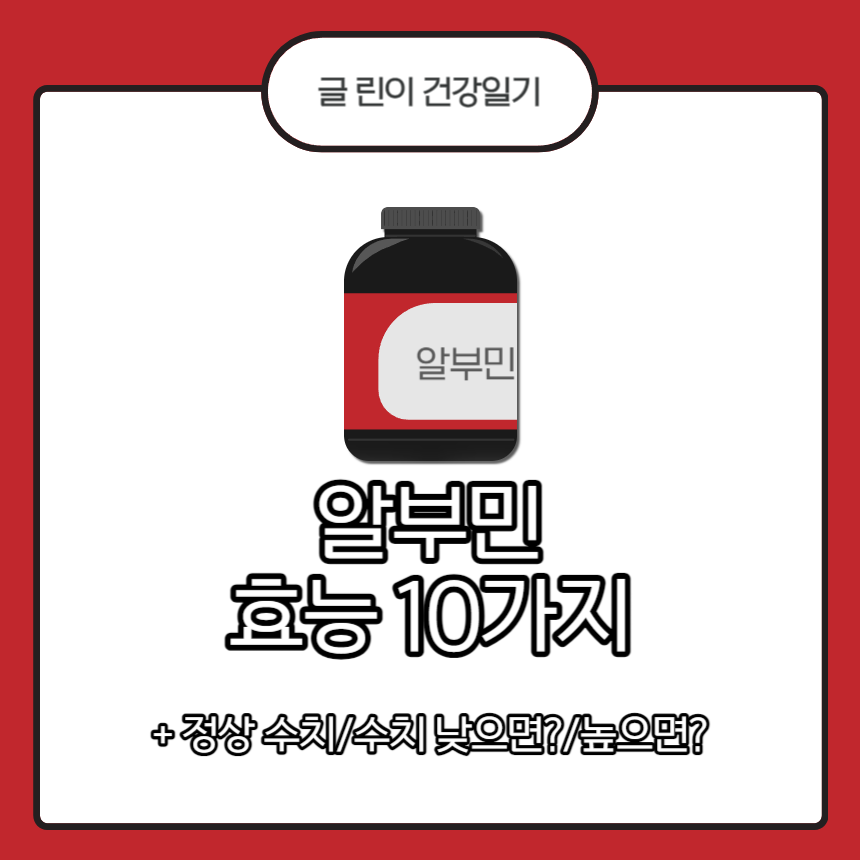 알부민 효능 10가지