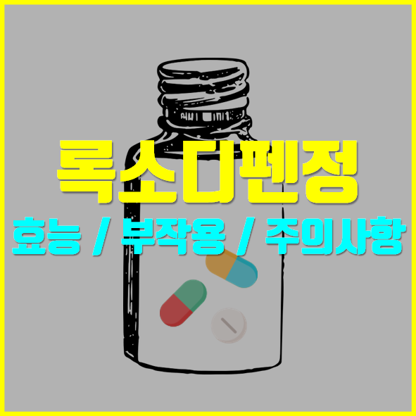  록소디펜정 어떤 약인가요?