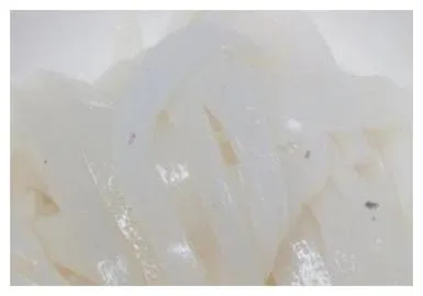 곤약 효능