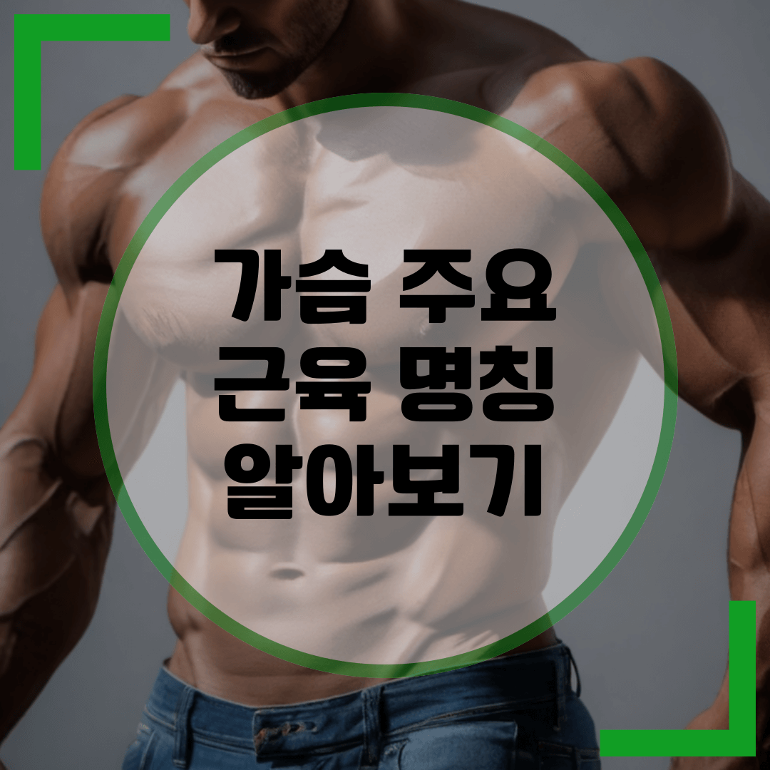 가슴 주요 근육 명칭