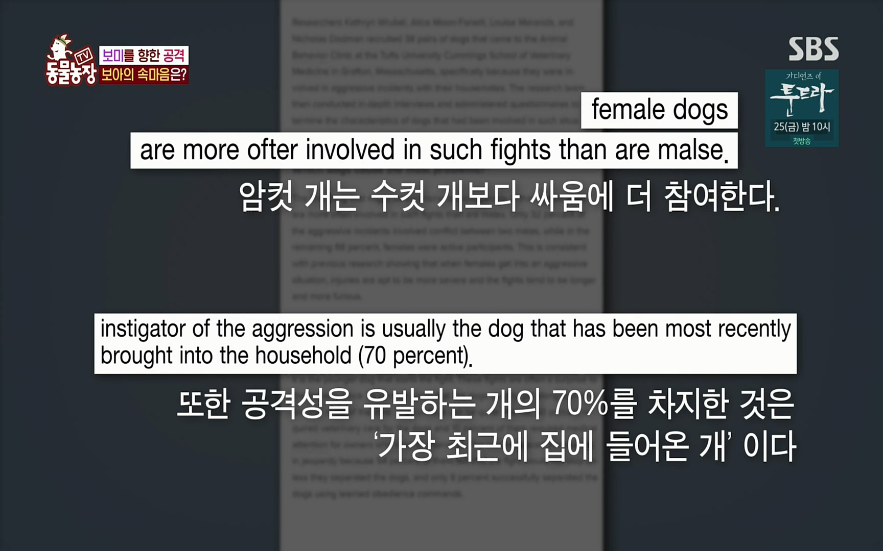 TV 동물농장.E1061.220320p.H264-F1RST.mp4_20220320_183555.120.jpg