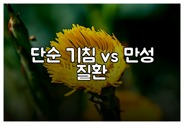 단순 기침 vs 만성 질환