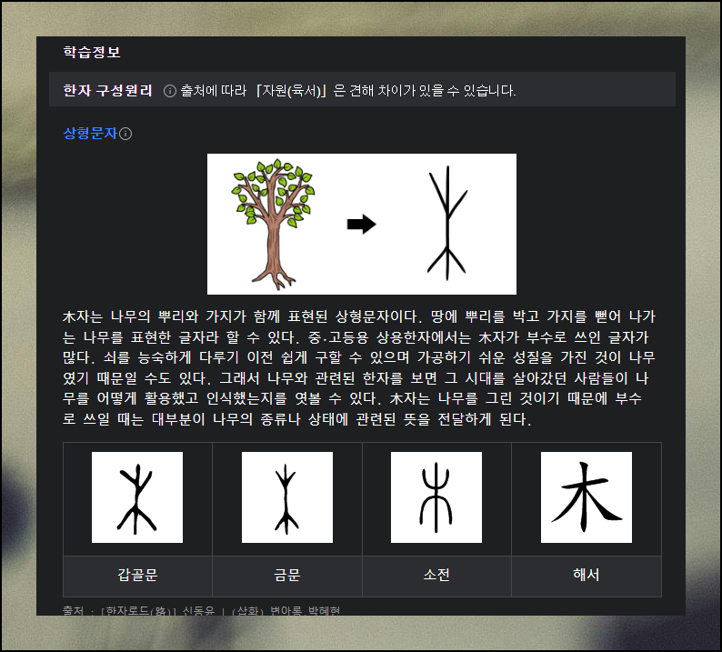 그려서 한자찾기 사전 검색 방법